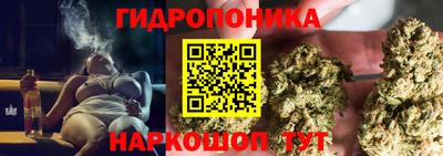 ALPHA PVP Кунгур